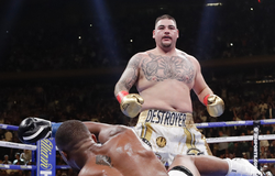 Andy Ruiz: Joshua nên nghỉ ngơi nếu anh ta thua trận tái đấu