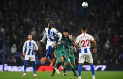 Nhận định Brighton vs Tottenham 18h30 ngày 5/10 (Ngoại hạng Anh)