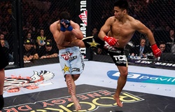 Cung Lê sẽ về ‘dạy võ Việt Nam’ bên lề sự kiện Victory 8 sắp tới