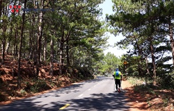 Cách chinh phục Langbiang Trail 2019 chỉ trong 2 tuần tập luyện