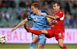 Nhận định Adelaide United vs Sydney FC 15h30, 11/10 (VĐQG Australia)