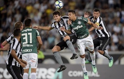 Nhận định Palmeiras vs Botafogo 07h00, 13/10 (vòng 25 VĐQG Brazil)