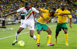 Nhận định Nam Phi vs Mali 20h00, 13/10 (Giao hữu quốc tế)