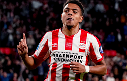 Malen là ai mà có thể khiến Arsenal chi 50 triệu bảng để mua lại?