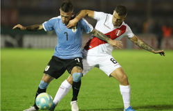 Trực tiếp Peru vs Uruguay: Giao hữu dễ hòa