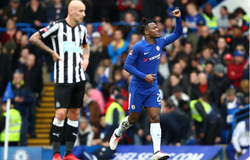 Soi kèo Chelsea vs Newcastle 21h00, 19/10 (Giải Ngoại hạng Anh)