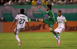 Soi kèo Palmeiras vs Chapecoense 07h00, 17/10 (vòng 26 VĐQG Brazil)