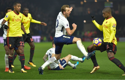 Soi kèo Tottenham vs Watford 21h00, 19/10 (Giải Ngoại hạng Anh)