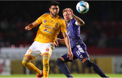 Trực tiếp Veracruz vs Tigres UANL: Những chú hổ mạnh mẽ