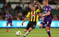 Trực tiếp Wellington vs Perth Glory: Khách gặp bất lợi