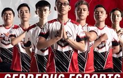 Đánh bại ADN, Cerberus Esports vô địch Đấu Trường Danh Vọng Mùa Đông Series B