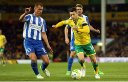 Dự đoán Brighton vs Norwich City 22h00, 02/11 (Vòng 11 Ngoại hạng Anh)