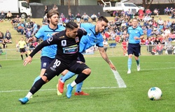 Nhận định Sydney FC vs Newcastle Jets 15h30, 01/11 (Vòng 4 VĐQG Úc)