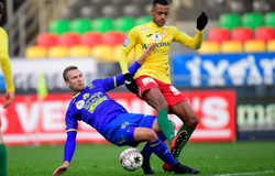 Dự đoán Sint-Truidense vs Oostende 02h00, ngày 03/11 (VĐQG Bỉ)