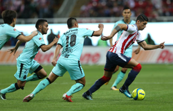 Nhận định Santos Laguna vs Chivas Guadalajara 10h00, ngày 07/11 (Cúp QG Mexico)