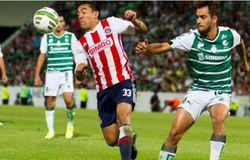 Trực tiếp Santos Laguna vs Chivas Guadalajara: Lợi thế cho chủ nhà