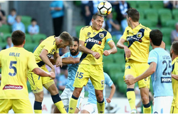 Nhận định Melbourne City vs Central Coast Mariners 15h30, 08/11 (VĐQG Australia)