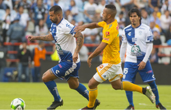 Nhận định Tigres UANL vs Pachuca 08h00, 10/11 (VĐQG Mexico)