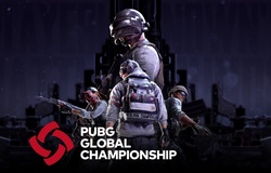 Kết quả giải PUBG Global Championship 2019 của Divine Esports