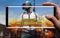 Cách tải PUBG bản quốc tế trên IOS, Android và PC