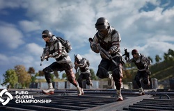 Lịch thi đấu chung kết PUBG thế giới Global Championship 2019