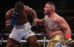 Anthony Joshua cho rằng thất bại trước Ruiz là có ích