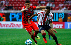 Nhận định Chivas Guadalajara vs Veracruz 10h00, ngày 24/11 (VĐQG Mexico)