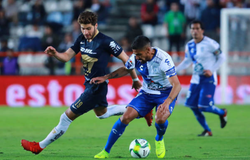 Nhận định Pachuca vs Pumas UNAM 10h00, ngày 24/11 (VĐQG Mexico)