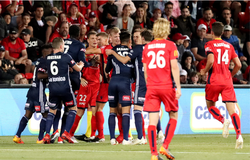 Nhận định Adelaide United vs Melbourne Victory FC 15h30, 23/11 (VĐQG Úc)