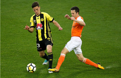 Nhận định Wellington Phoenix vs Brisbane Roar FC 13h00, 23/11 (VĐQG Úc)