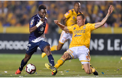 Trực tiếp Juarez vs Tigres UANL: Cửa khách đáng tin cậy