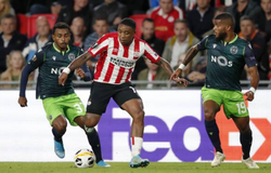 Nhận định Sporting Lisbon vs PSV Eindhoven 03h00, ngày 29/11 (Cúp C2 châu Âu)