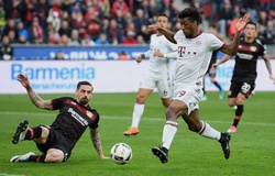 Soi kèo Bayern Munich vs Bayer Leverkusen 00h30, ngày 01/12 (VĐQG Đức)