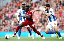 Van Dijk sắm vai tiền đạo, Liverpool nhọc nhằn hạ chú lùn Brighton