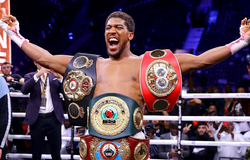 Anthony Joshua nói về một trận đấu với Deontay Wilder “Tôi sẽ rất vui lòng”