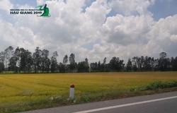 Mekong Delta Marathon Hậu Giang 2020 - Race đáng chơi của dân chạy bộ