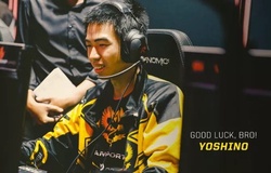 Yoshino rời GAM, dự kiến đến Team Flash