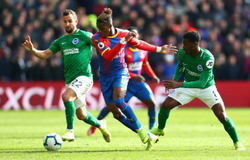 Xem trực tiếp Crystal Palace vs Brighton trên kênh nào?