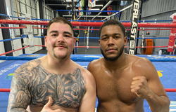 Bạn tập của Andy Ruiz giải thích về cân nặng của anh