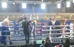 Boxer bị loại khỏi vòng chiến vì rơi khỏi võ đài khi … khởi động?