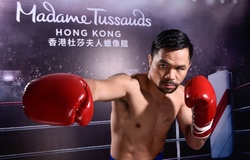 Manny Pacquiao sẽ được dựng tượng sáp tại bảo tàng Madame Tussauds Hong Kong