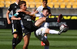 Nhận định Hamilton Wanderers AFC vs Hawke's Bay United 10h00, ngày 22/12 (VĐQG New Zealand)