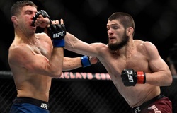 Khabib Nurmagomedov: "Tôi vượt trội so với Tony Ferguson"