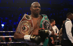 Dillian Whyte từ bỏ Wilder, bắt đầu “cà khịa” Joshua