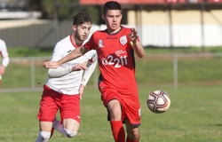Nhận định U23 Adelaide United vs U23 Perth Glory 07h00, 28/12 (Vòng 7 giải trẻ Úc)