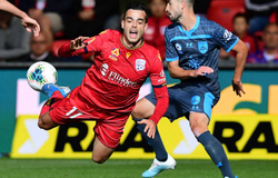 Nhận định Sydney FC vs Adelaide United 15h30, ngày 04/01 (VĐQG Úc)