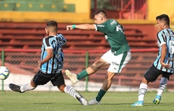 Nhận định U20 Palmeiras vs U20 Rondonopolis 07h30, 03/1 (Vô địch U20 bang Sao Paulo 2020) 