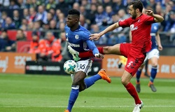 Nhận định Schalke vs Sint-Truidense 23h00, ngày 07/01 (Giao hữu)