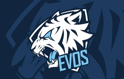 Đội hình EVOS Esports VCS Mùa Xuân 2020: Đủ sức tranh Top 4?