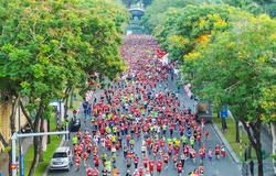 “Cùng nhau vượt trội hơn mỗi ngày” với Giải Marathon Quốc tế TPHCM Techcombank 2020